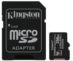 Paměťová karta Kingston microSD 256GB CL10 + adaptér, černá